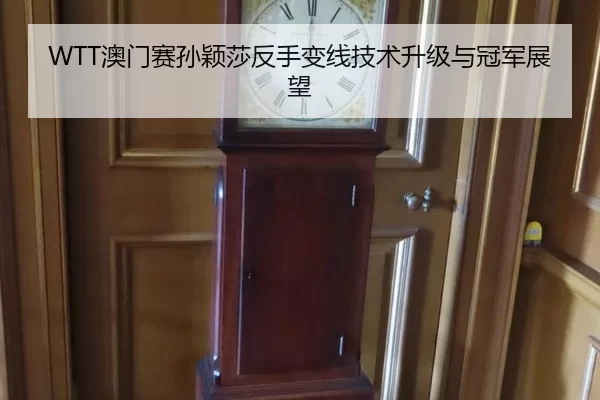 WTT澳门赛孙颖莎反手变线技术升级与冠军展望 - MKSports
